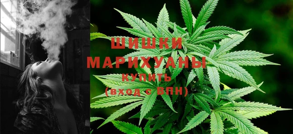 PSILOCYBIN Ладушкин