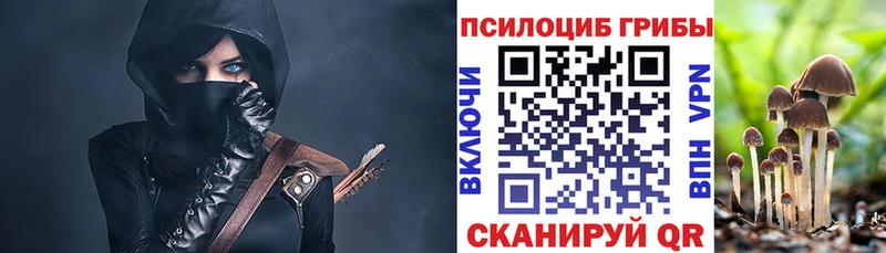 MEGA ONION Липецк Псилоцибиновые грибы GOLDEN TEACHER